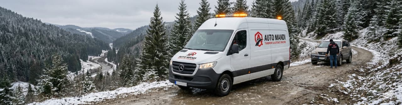 Asistence Auto Mandi